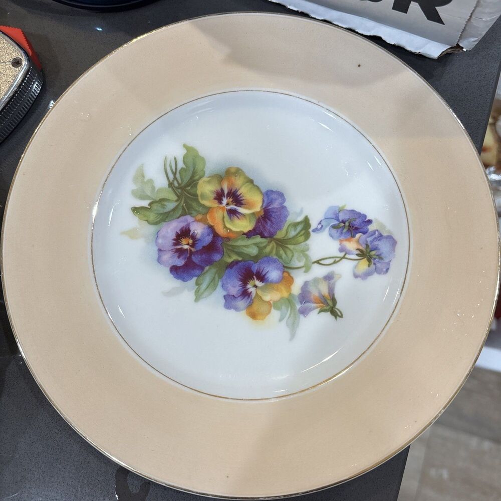 Vintage Austria HUB Hand Painted Violets Dinner PLATE - 8 5/8” Dia Peach White